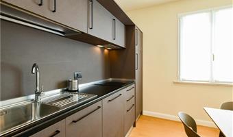 apartment - 1 queen 1 single bed, non-smoking, annex building, kitchenette, convertible into two twin beds