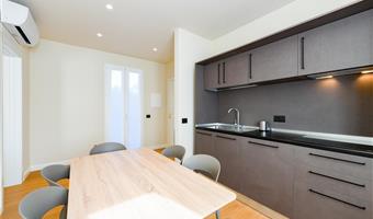 apartment - 1 queen 1 single bed, non-smoking, annex building, kitchenette, convertible into two twin beds