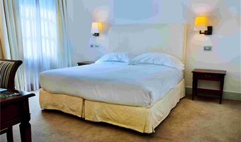 1 queen bed, non-smoking, classic room, wall-to-wall carpeting, convertible into two twin beds