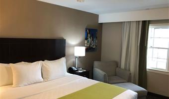 1 cama de matrimonio extragrande, no fumador, escritorio, chaises longues, nevera, wi-fi, desayuno completo