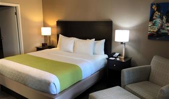 1 cama de matrimonio extragrande, no fumador, escritorio, chaises longues, nevera, wi-fi, sólo ducha, desayuno completo