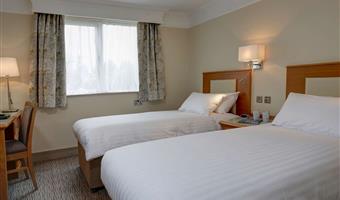 2 camas individuales, no fumador, habitación estándar