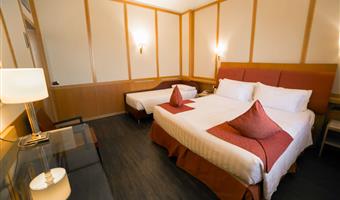 1 cama de matrimonio extragrande, habitación doble comfort, opción triple con 1 cama supletoria, habitación con 2 camas individuales a petición de los interesados, wi-fi, cafetera y tetera