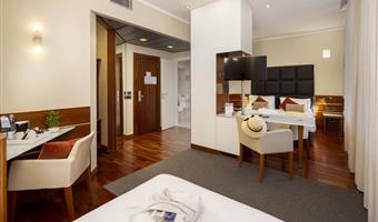 1 cama de matrimonio grande, suite junior, salón