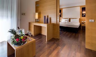 suite-1 cama de matrimonio extragrande, sofá-cama, wi-fi, televisión de pago gratis, bata de baño y zapatillas,  acceso al spa