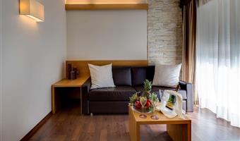 suite-1 cama de matrimonio extragrande, sofá-cama, wi-fi, televisión de pago gratis, bata de baño y zapatillas,  acceso al spa