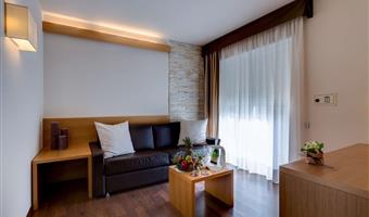 suite-1 cama de matrimonio extragrande, sofá-cama, wi-fi, televisión de pago gratis, bata de baño y zapatillas,  acceso al spa