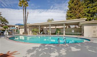 Piscina del Best Western Plus Black Oak - Paso Robles - 05084