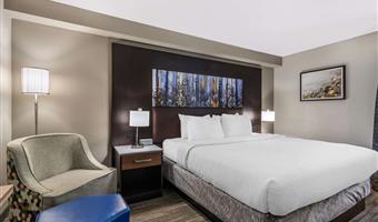 Habitación del Best Western Atlanta-Marietta Ballpark Hotel - Marietta - 11230