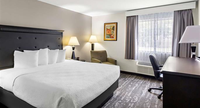 Habitación del Best Western Saluki Inn - Carbondale - 14191