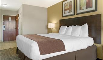 Habitación del Best Western Port Huron Blue Water Bridge - Port Huron - 23156