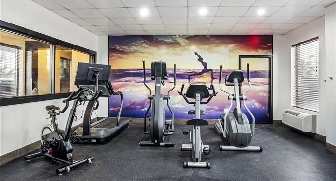 Gimnasio del Best Western Plus Newark Airport West - Newark - 31049