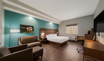 Suite del Best Western Bowie Inn & Suites - Bowie - 44647