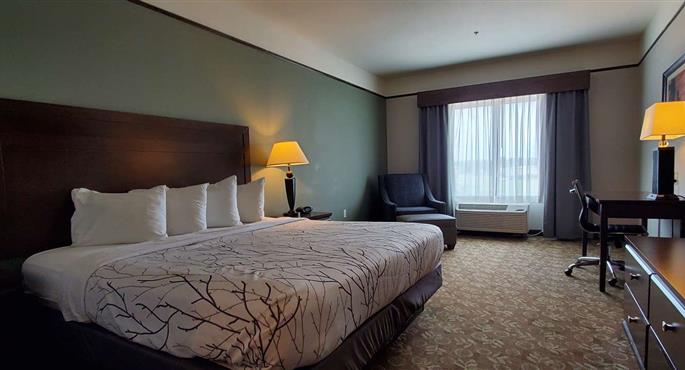 Habitación del Best Western Plus Emory at Lake Fork Inn & Suites - Emory - 44672