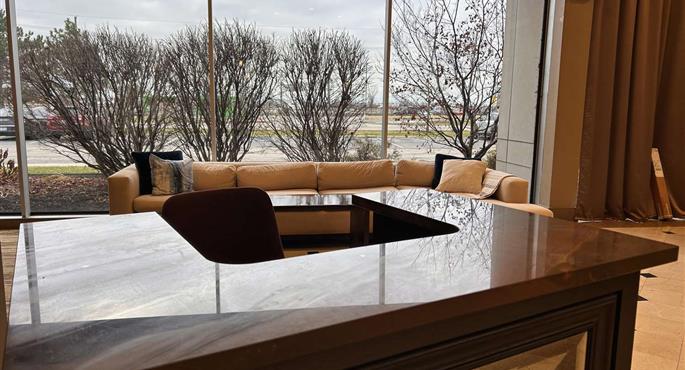 Vestíbulo del Skyline Hotel Detroit Airport, SureStay Collection by BW en Romulus - 54306