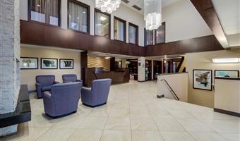 Vestíbulo del Best Western Plus Edmonton Airport Hotel en Leduc - 61097