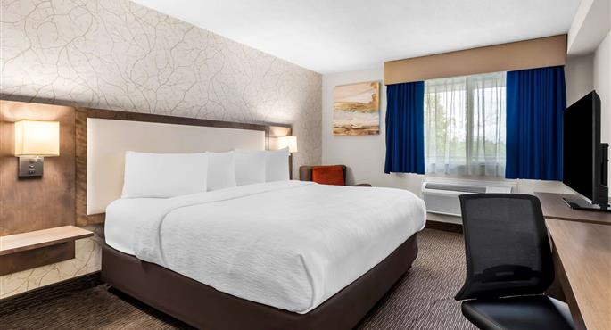 Habitación del Best Western Halton Hills - Georgetown - 66087