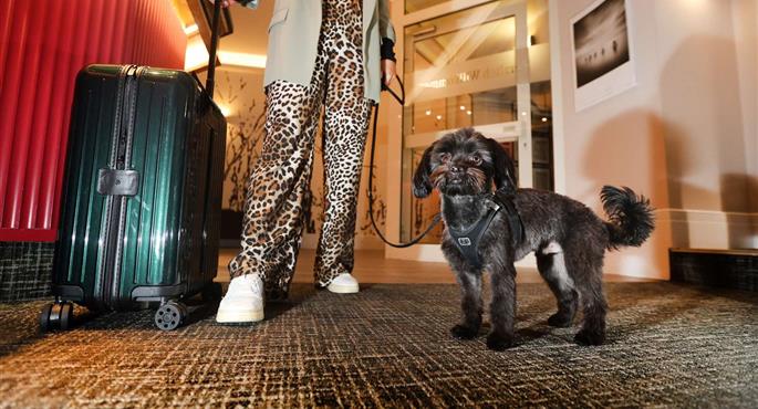 Vestíbulo del Best Western Hotel Windorf en Leipzig - 95240