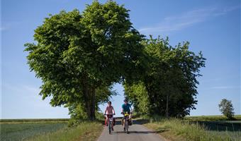 Best Western Hotel Hohenzollern - Osnabrueck - 95525