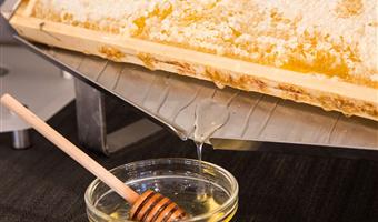 Restaurante del Best Western Plus CHC Florence - Florencia - 98367