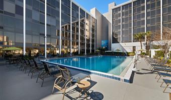 Piscine de Best Western Orlando Gateway Hotel - Orlando - 10380