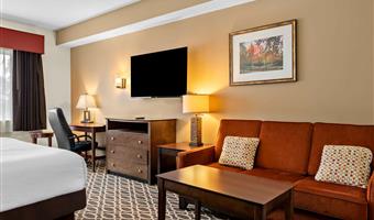 Chambre de Best Western Paradise Inn - Savoy - 14108