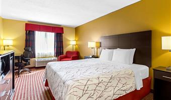 Chambre de Best Western Jacksonville Inn - Jacksonville - 14203