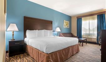 Chambre de Best Western Ville Platte - Ville Platte - 19083