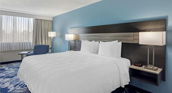 Chambre de Best Western Rutgers University Hotel - East Brunswick - 31075