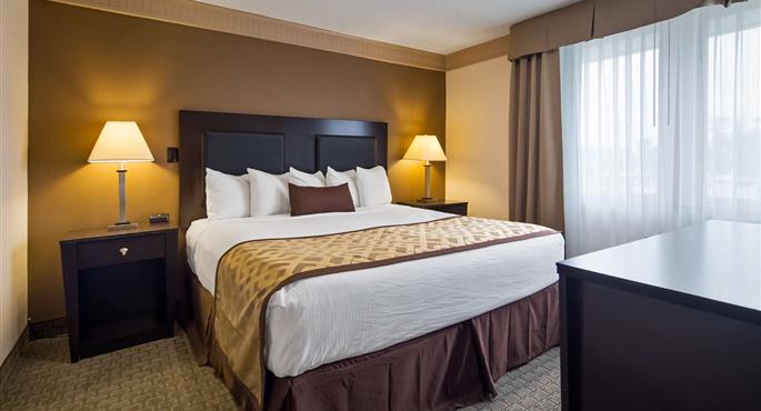 Suite de Best Western Plus Concordville Hotel - Glen Mills - 39066