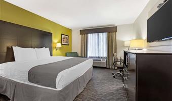 Chambre de Best Western Magnolia Inn and Suites - Ladson - 41085