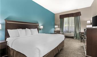 Chambre de Best Western Mineola Inn - Mineola - 44606