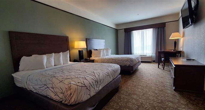 Chambre de Best Western Plus Emory at Lake Fork Inn & Suites - Emory - 44672