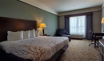 Chambre de Best Western Plus Emory at Lake Fork Inn & Suites - Emory - 44672