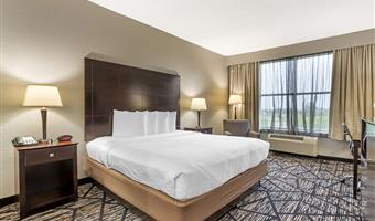 Chambre de Best Western Plus Hobby Airport Inn & Suites - Houston - 44696