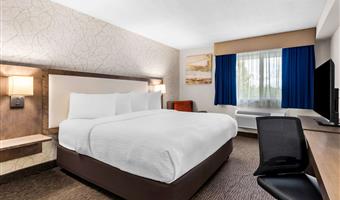 Chambre de Best Western Halton Hills - Georgetown - 66087