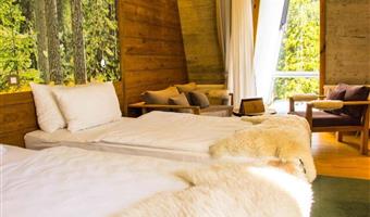 Chambre de Pino Nature Hotel, BW Premier Collection - Sarajevo - 77737