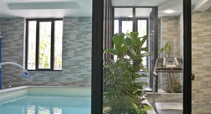 Piscine de Best Western Plus Hotel des Francs - Soissons - 93707