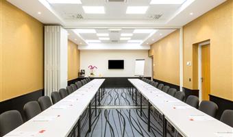 Salles de réunion de Best Western Hotel Journel Paris Sud - Ris-Orangis - 93854