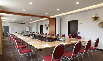Salles de réunion de Best Western Hotel Rosenau - Bad Nauheim - 95315