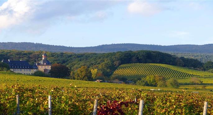 Best Western Hotel Wiesbaden - Wiesbaden - 95513