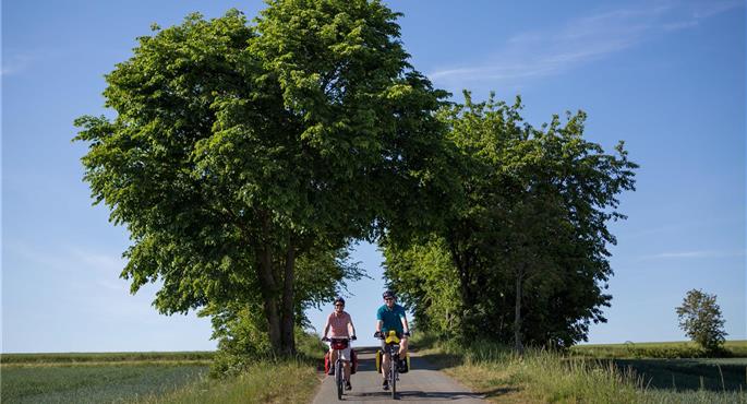 Best Western Hotel Hohenzollern - Osnabrueck - 95525