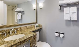 suite- 1 lit king size, non fumeur, chambre séparée, canapé-lit, salon commun, four à micro-ondes et réfrigérateur, petit déjeuner complet