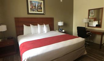 1 chambre avec lit king size accessible en fauteuil roulant, accessible aux personnes à mobilité réduite, douche avec accès handicapés, non fumeur, petit déjeuner continental