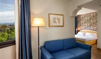 1 lit queen size, chambre d'affaires
