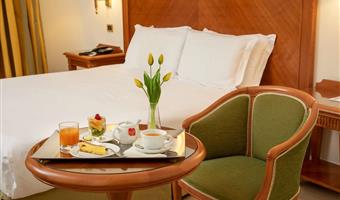 1 lit king size, chambre superieure, minibar gratuit, connexion wi-fi gratuite, bouilloire pour thé, café et tisanes sur demande