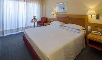 1 lit king size, chambre classique, balcon