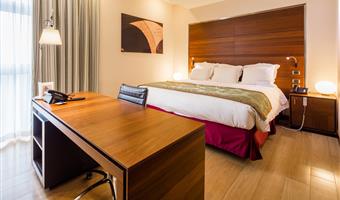 1 lit king size, junior suite, salon avec canapé-lit, douche/baignoire avec bain bouillonnant, dressing, accès offert au centre thermo-ludique, garage gratuit