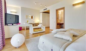 1 lit king size, chambre de luxe, parquet, salon, divan, plateau de courtoisie vip, bain bouillonnant extra-large deux places