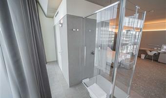 1 lit king size, non fumeur, deluxe, douche dans la chambre